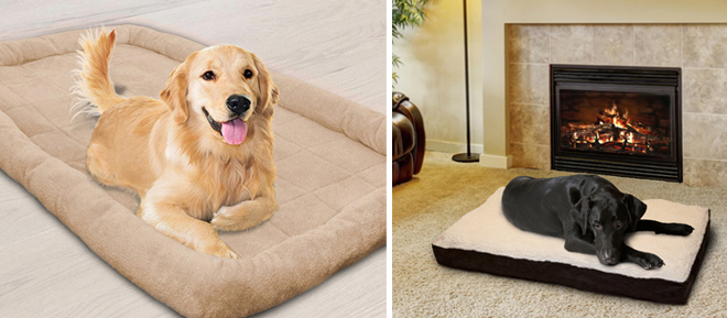 petbeds-tanga