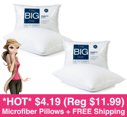 *HOT* $2.79 (Reg $12) The Big One Microfiber Pillow + FREE Shipping