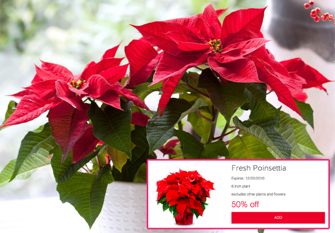 *RARE* 50% Off Fresh Poinsettia Plants Cartwheel (Only $1.49!)