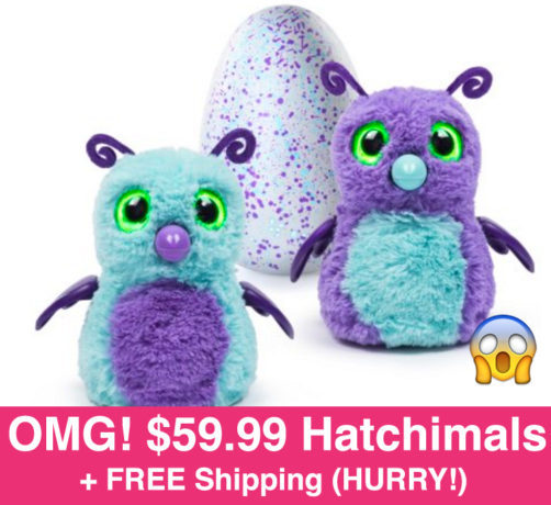 HURRY! $59.99 Hatchimals + FREE Shipping