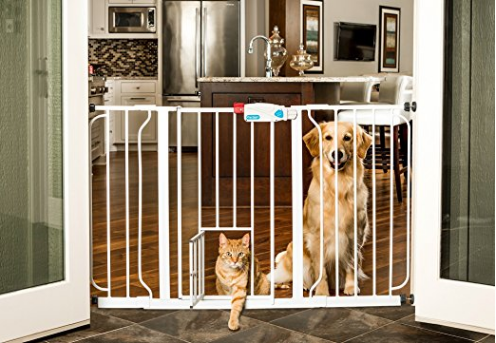 $36.99 (Reg $80) Carlson Pet Products Pet Gate + FREE Shipping