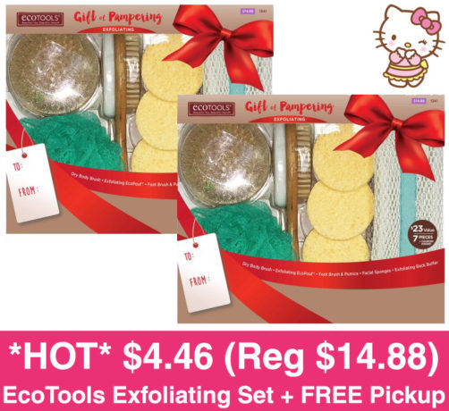 *HOT* $4.46 (Reg $14.88) EcoTools Head to Toe Bath Exfoliating Set + FREE Pickup