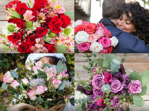 LSFlowers2