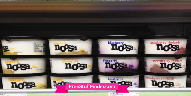 $0.94 (Reg $2.39) Noosa Yoghurt at Target