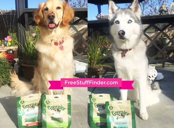 *HOT* $0.35 per Greenies Dog Dental Treat + FREE Shipping