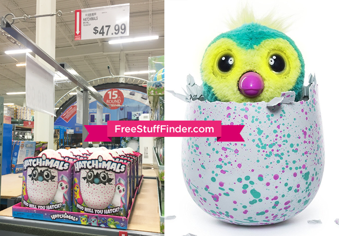 Hatchimals-Bjs