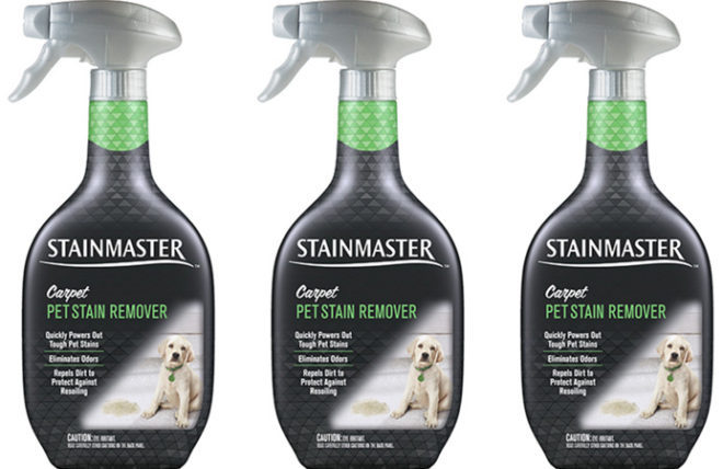 $1.74 (Reg $5) Stainmaster Pet Stain Remover at Target (Print Now!)