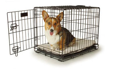 dog-crate
