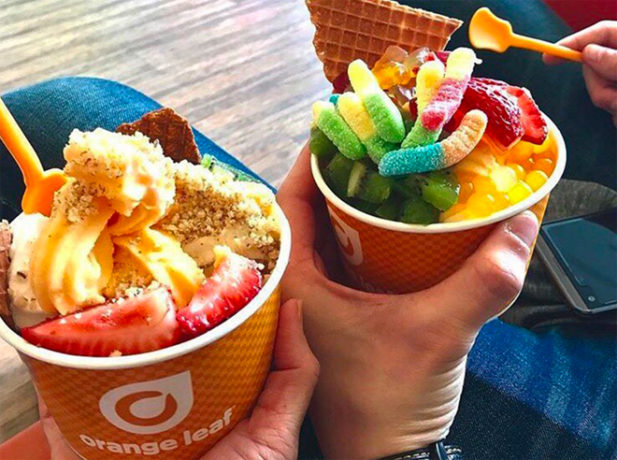 orangeleaf-froyo