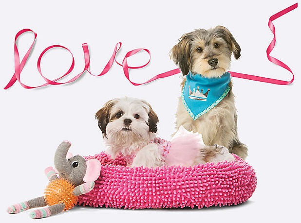 puppy-love-event