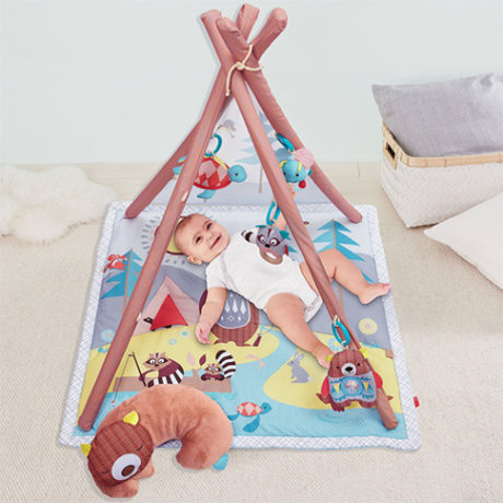 $55.83 (Reg $80) Skip Hop Activity Gym + FREE Shipping (Best Price!)