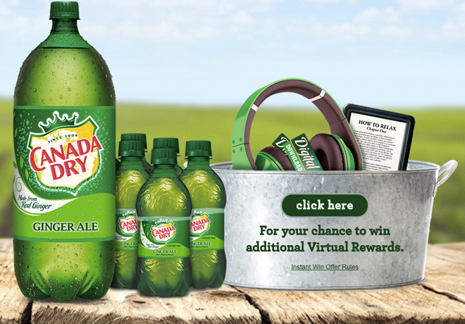 Win FREE $100 Visa Digital Reward (250 Winners!)