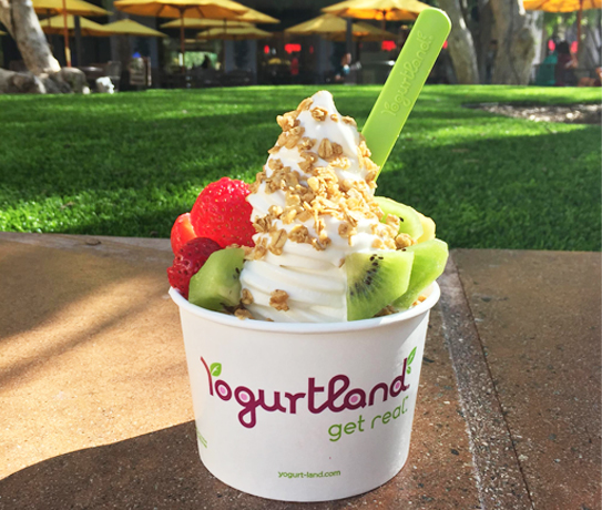 Yogurtland