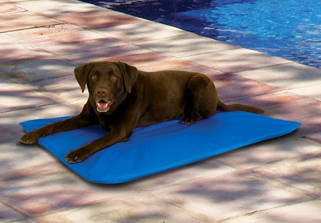 *HOT* $6.24 (Reg $50) Cooling Dog Bed (BEST PRICE!)