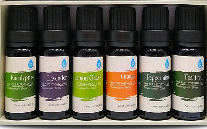 $11.95 (Reg $30) 6-Pack Essential Oils Gift Set