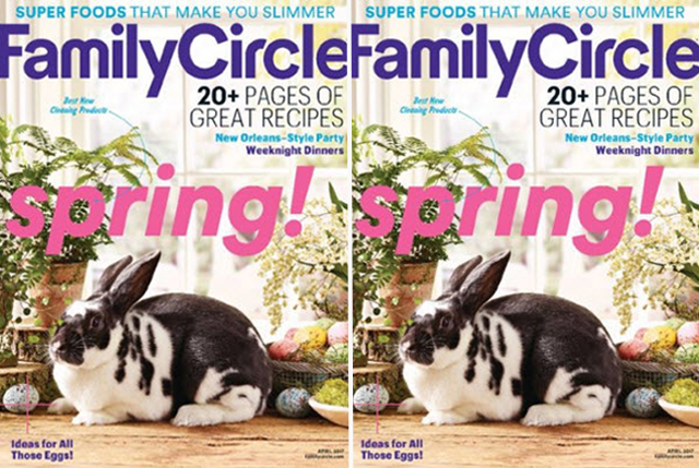 FREE Family Circle Magazine Subscription