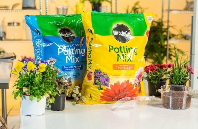 $5 (Reg $9) Miracle-Gro Potting Mix + FREE Pickup