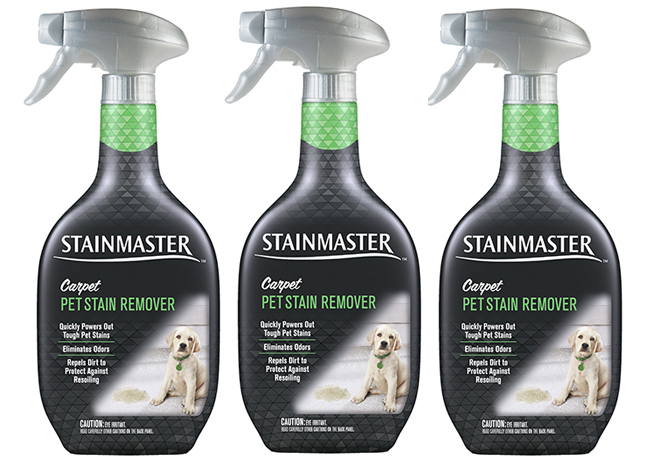 stainmaster-carpet-stain-remover