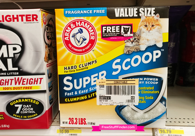 $6.49 (Reg $17) Arm & Hammer Cat Litter at Target (Print Now!)