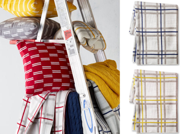 *HOT* $13.98 (Reg $40) Sabrina Soto Throws + FREE Pickup