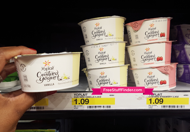 $0.51 (Reg $1.09) Yoplait Custard at Target (Print Now!)