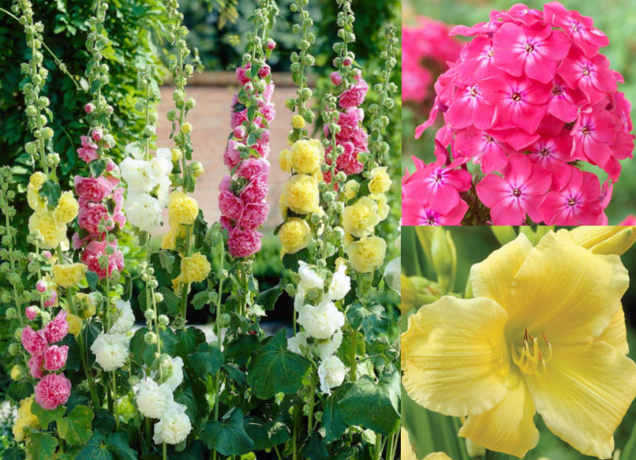 40% Off Flower Bulbs & Planters & 2 For $10 Annual 12-Packs (Today Only)