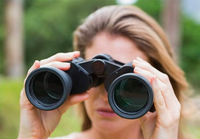 FREE Bushnell Binoculars (After Rebate)