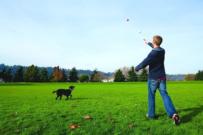 $2.15 (Reg $6.23) Chuckit! Classic Dog Ball Launcher