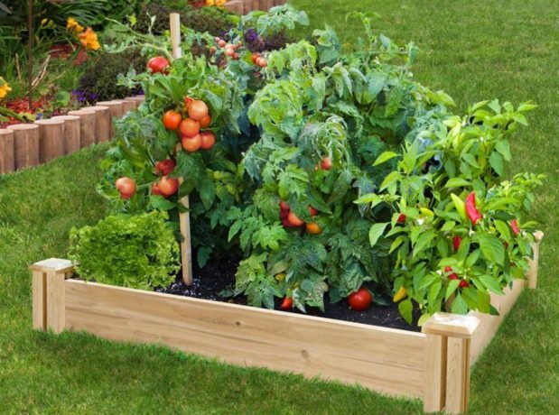 $25.62 (Reg $43.67) Cedar Raised Garden Bed + FREE Store Pickup