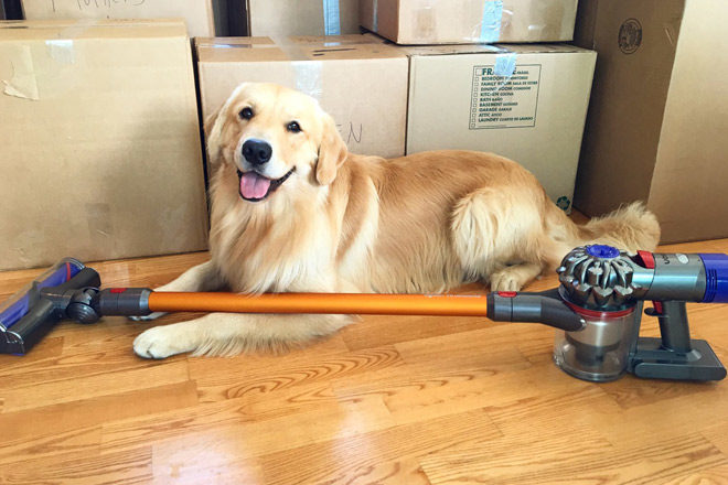 *HOT* $179.99 (Reg $550) Dyson Cordless Vacuum (Today Only)