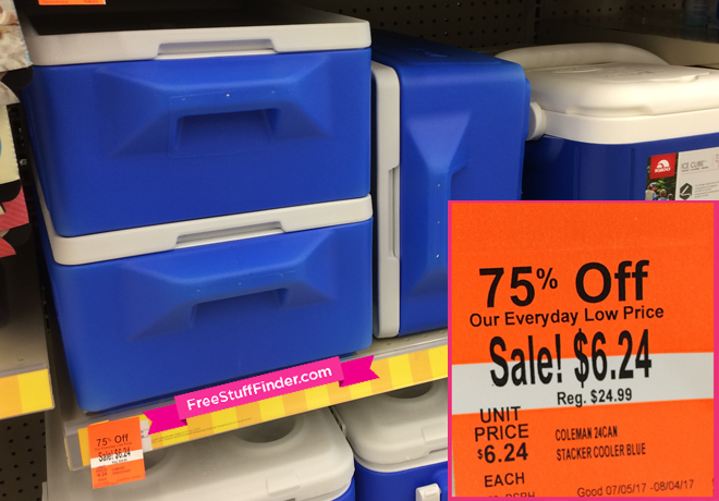 *HOT* Up to 75% Off Summer Clearance Finds at Walgreens (From $0.24!)