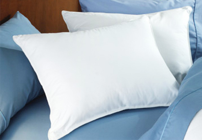 $2.77 Standard Plush Pillow + FREE Pickup