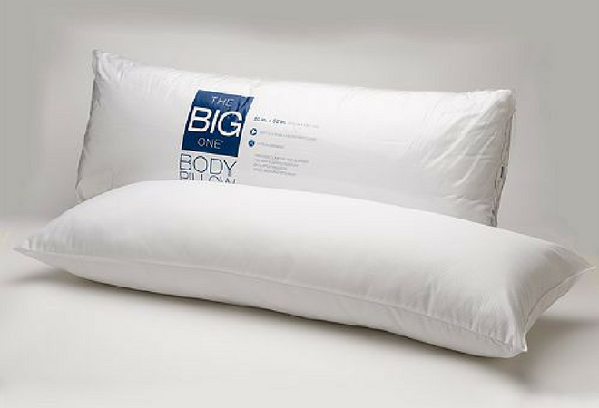 *HOT* $6.39 (Reg $20) The Big One Body Pillow