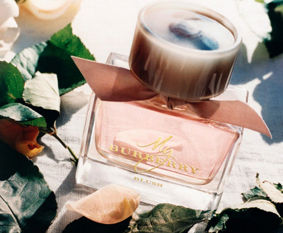 FREE Sample My Burberry Blush Perfume