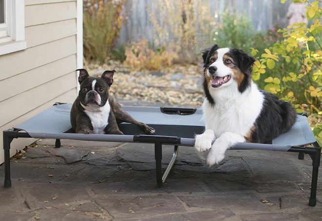 *HOT* $14.99 (Reg $50) K&H Manufacturing Original Pet Cot (Best Price!)