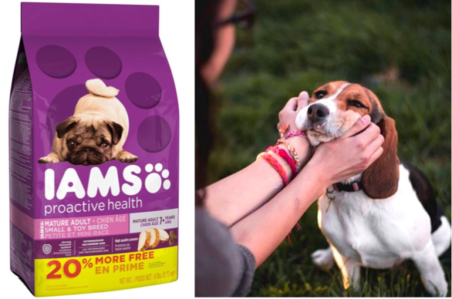 $4.83 (Reg $15) IAMS Proactive Heath Adult Dog Food 6-Pound Bag + FREE Shipping