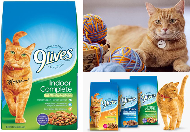 FREE 9Lives Cat Food at Dollar General