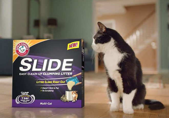 *HOT* $3.99 (Reg $9.49) Arm & Hammer Cat Litter at Rite Aid