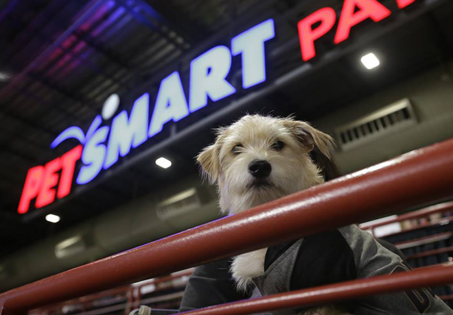 FREE Pet Safety Light, Treats and Apparel Coupons at Petsmart (10/21 & 10/28 Only)