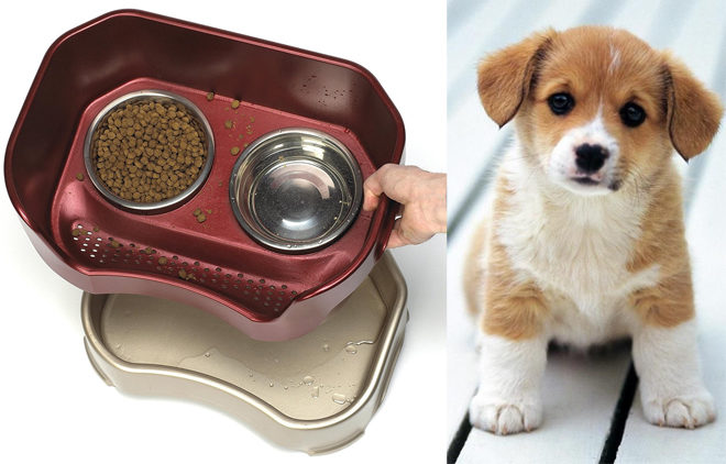 $34.79 (Reg $60) Neater Feeder Dog Food Dish + FREE Shipping