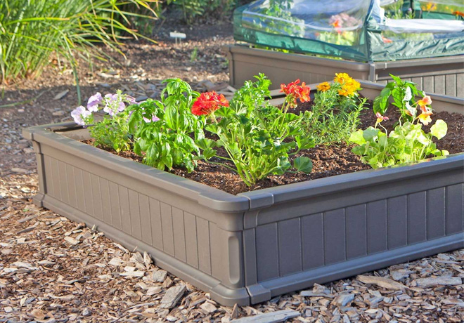 $45.82 (Reg $100) Raised Garden Beds + FREE Shipping (Best Price!)