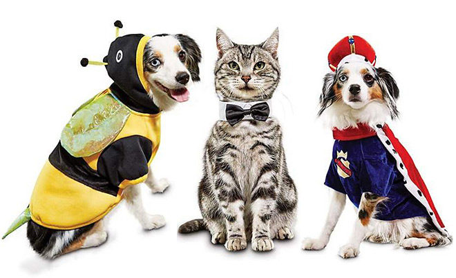 *HOT* 30% Off Pet Halloween Costumes + FREE Shipping (Today Only!)