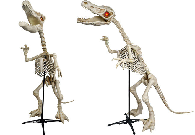 $35 (Reg $100) Standing Skeleton Raptor with LED Eyes + FREE Shipping