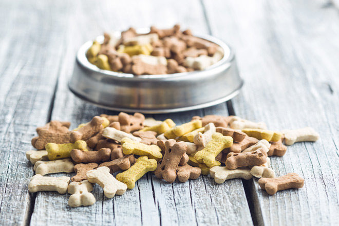 *HOT* Up to 40% off Dog Treat Bundles (Today Only!)