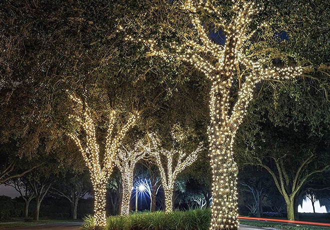 $9.99 (Reg $20) Ora 100 LED Solar Powered String Lights + FREE Shipping