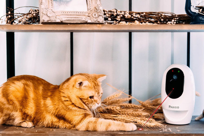 $109.99 (Reg $199) Pawbo Life WiFi Pet Camera + FREE Shipping (Today Only!)