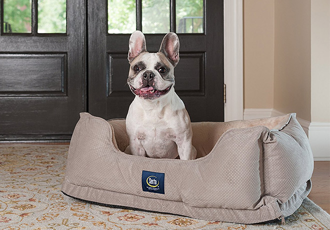 *HOT* $29.84 (Reg $60) Serta Perfect Sleeper Orthopedic Pet Bed + FREE Shipping