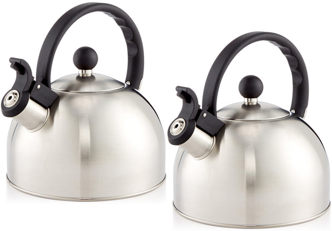 *HOT* $4.99 (Reg $25) 1.5-Qt. Brushed Stainless Steel Tea Kettle (Today Only!)