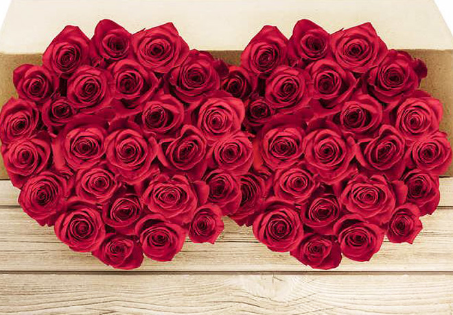 $49.99 Valentine's Day Red Stemmed Roses 50-Count + FREE Shipping (Costco Members!)