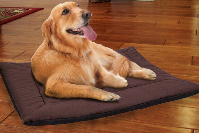 *HOT* $10.99 (Reg $60) OxGord Self Warming Pet Bed + FREE Shipping